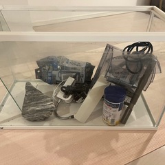 gex水槽セットの画像