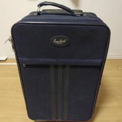 布製キャリーバッグ