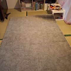 IKEA カーペット