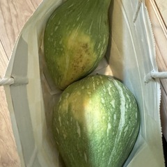 かぼちゃ