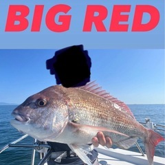 自作　タイラバフックセット①の画像