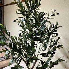 オリーブの木　フェイクグリーンの画像