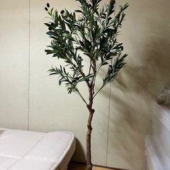 オリーブの木　フェイクグリーンの画像