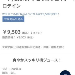 プロテイン　WPI