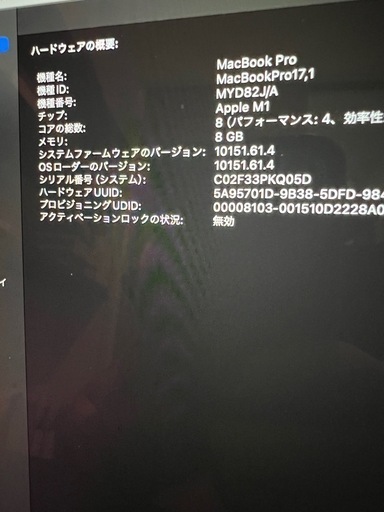 MacBook Pro (MYD82J/A)