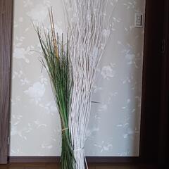 飾り用ドライ棒？の画像
