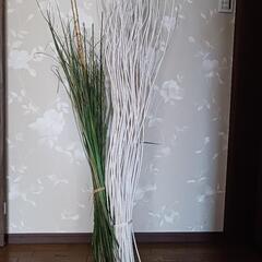 飾り用ドライ棒？の画像