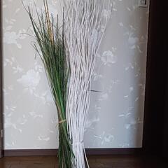 飾り用ドライ棒？の画像