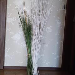 飾り用ドライ棒？の画像