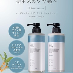 H&アッシュアンド シャンプー トリートメント 美容室専売品 ア...