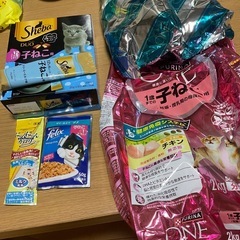 未開封子猫用キャットフード複数セット