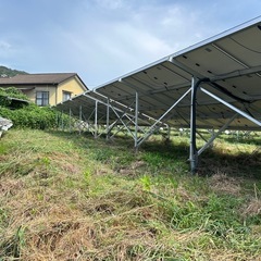 草刈り、選定作業のお手伝いさん募集中ですの画像