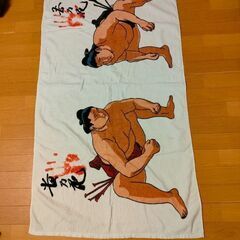 相撲貴乃花若乃花バスタオル