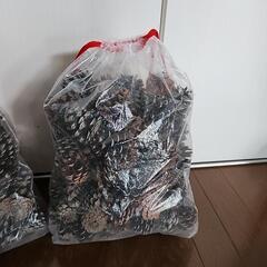 松ぼっくり
