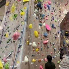 平日の夜クライミングジム行ける方募集