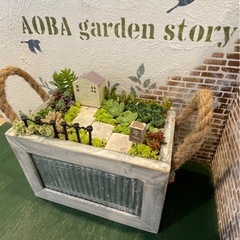 多肉植物ワークショップの画像
