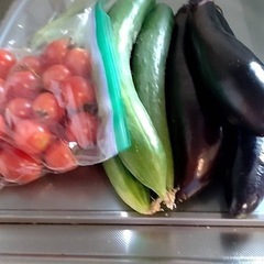 朝採り新鮮夏野菜セット