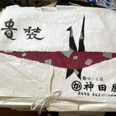 帯、おびの画像