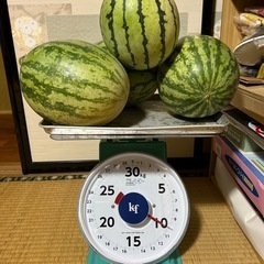 スイカ西瓜10kg4玉