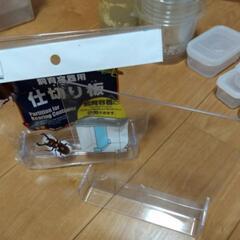 飼育ケース　まとめ売り　虫かご　カブト虫　クワガタ　大量の画像