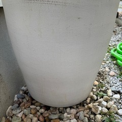 特大植木鉢🪴未使用🪴白の画像