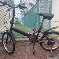 ギャー付き キャプテンスタッグ (Captain stag) 自転車
