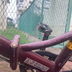 ギャー付き キャプテンスタッグ (Captain stag) 自転車の画像