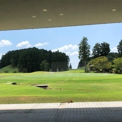 ⛳️木曜日のゴルフメンバー募集(^^)
