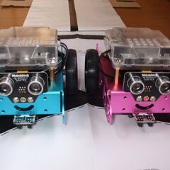 mBot、Legoをプログラムして動かしてみよう（日本人講師・外国人講師による）の画像