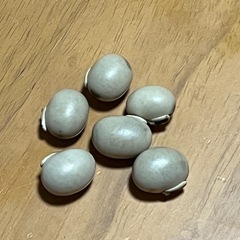 【 早い者勝ち】ムクナ豆 苗 16本 まとめ売りの画像