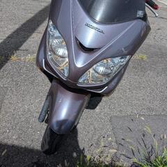 フォルツァmf08の画像