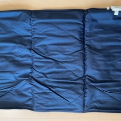 【新品】はらぺこあおむし  オムツ替えシートの画像