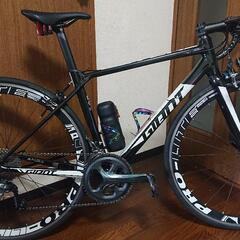 GIANT TCR カスタム多数(本日限定！)