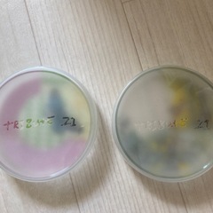 ガラス小物入れの画像