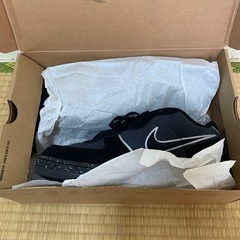 NIKE air zoom infiltrato 29cm （11inch）の画像