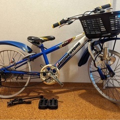 子供自転車　Bridgestone Crossfire  J03
