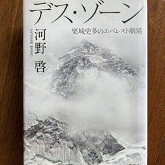 デス・ゾーン（河野啓）