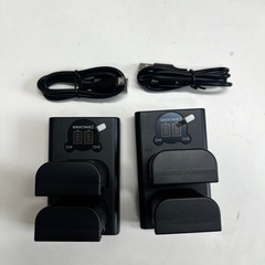 LUMIX 互換バッテリー DMW-BLF19 4個 充電器2個付き