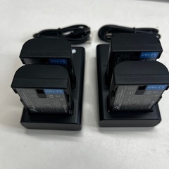 LUMIX 互換バッテリー DMW-BLF19 4個 充電器2個付きの画像