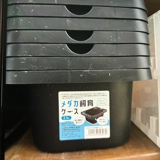 メダカ飼育ケース
