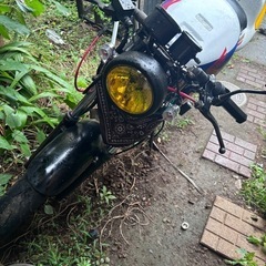 NS-1
