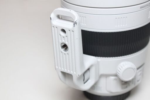 Canon/EF100-400mm F4.5-5.6L IS II USM/望遠ズームレンズ ④