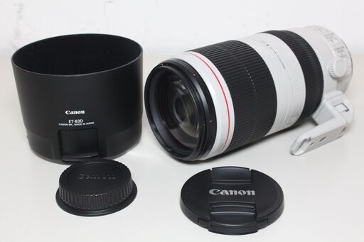 Canon/EF100-400mm F4.5-5.6L IS II USM/望遠ズームレンズ ④