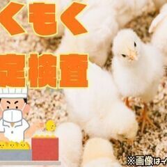 完成した製品に傷がないかどうかを目視で検査！手順はリスト通り見る...