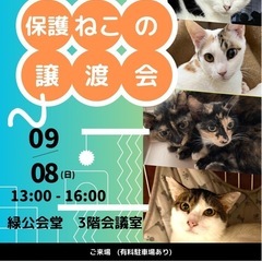 9月8日(日)保護ねこ譲渡会　in 横浜市緑区