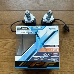 IPFライト