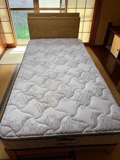 シングルベルト