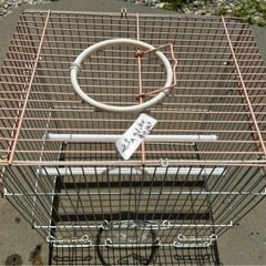 鳥かご　無料の画像