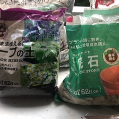 観葉植物◾️砂◾️軽石◾️鉢（小
）の画像