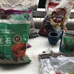 観葉植物◾️砂◾️軽石◾️鉢（小
）の画像